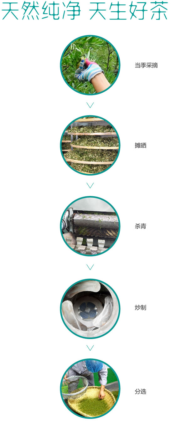 鹿歡喜沙棘茶l2notpc.jpg