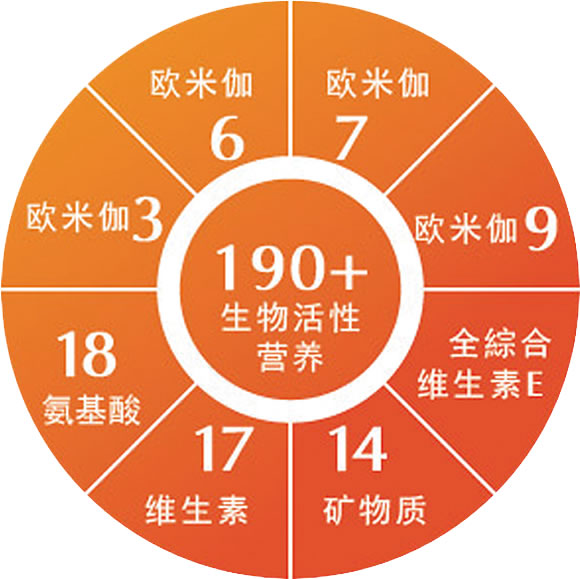 維生樹.jpg