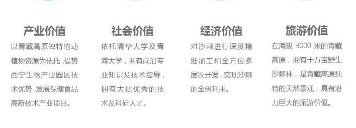 世界沙棘谷3.jpg