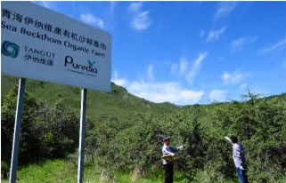 鹿歡喜官網